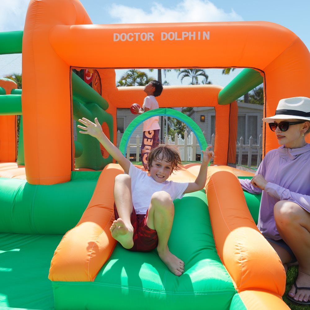 Doctor Dolphin Bouncy Castle with 450W blower