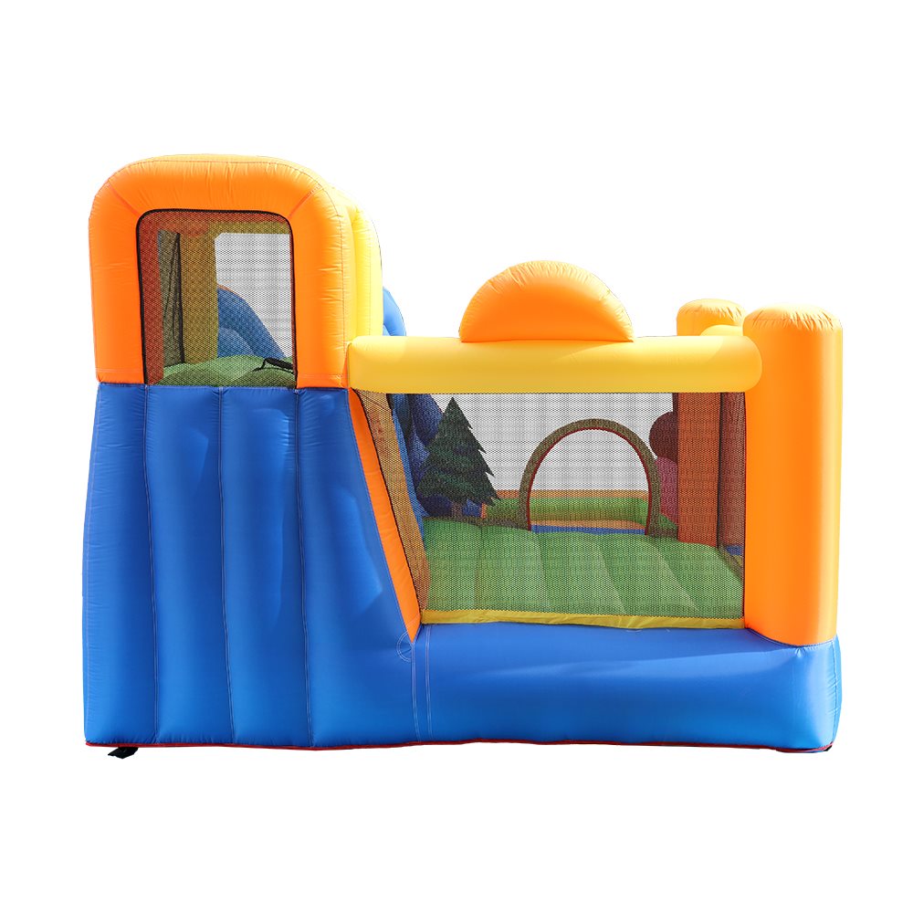 Doctor Dolphin Bouncy Castle with Squirrel incl. 450W blower