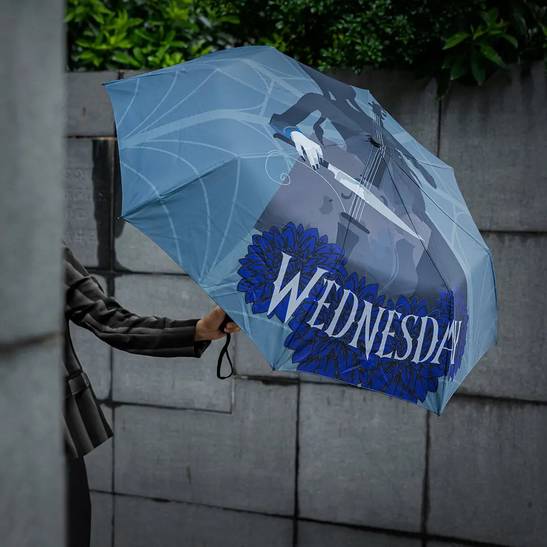 Umbrella Wednesday and her cello - Wednesday