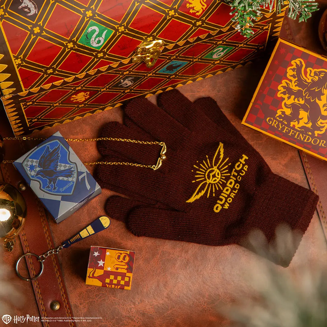 Quidditch Deluxe Advent Calendar 2025 - Harry Potter