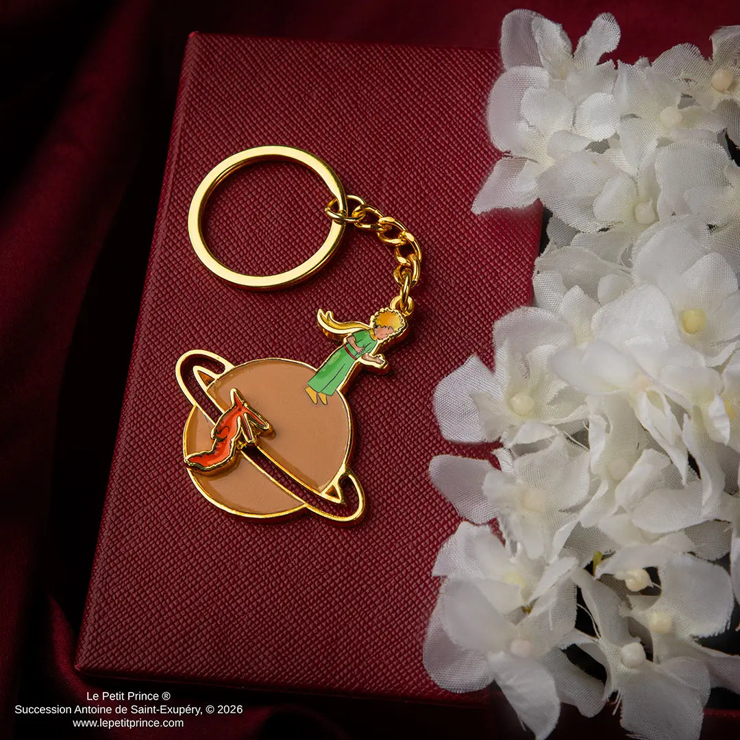 Keychain Tame me - The Little Prince