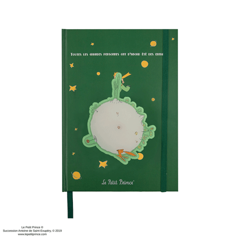 Spinning Asteroid B-612 Notebook - The Little Prince