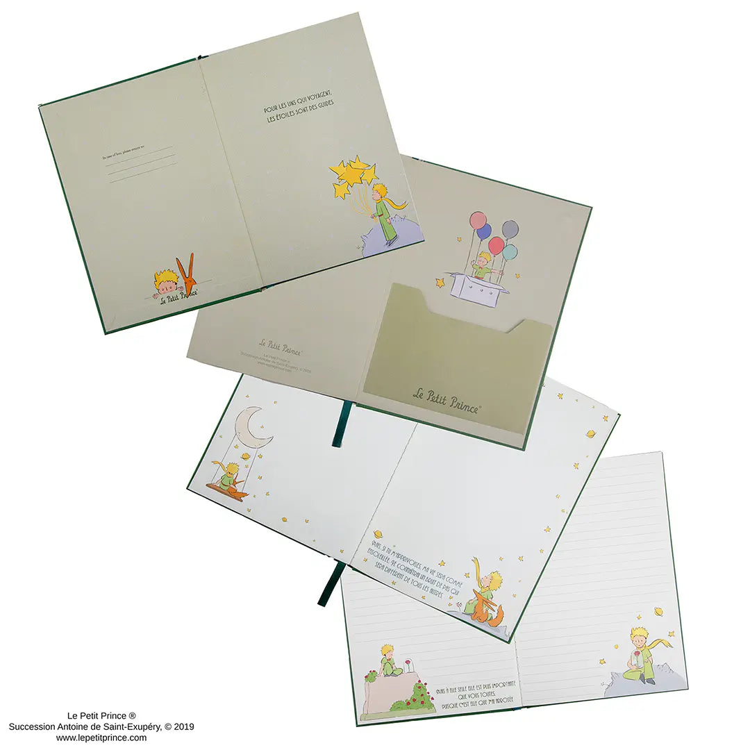 Spinning Asteroid B-612 Notebook - The Little Prince