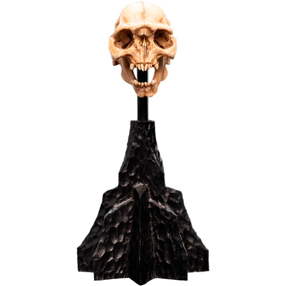 Weta Workshop Lord of the Rings - Skull of a Moria Orc Minuature