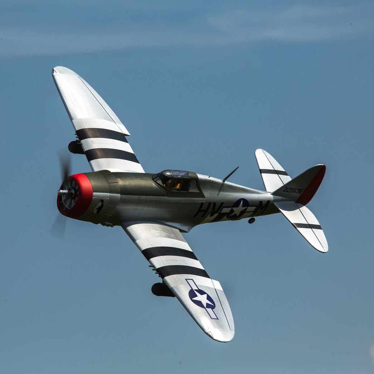 P-47D Thunderbolt 20cc ARF