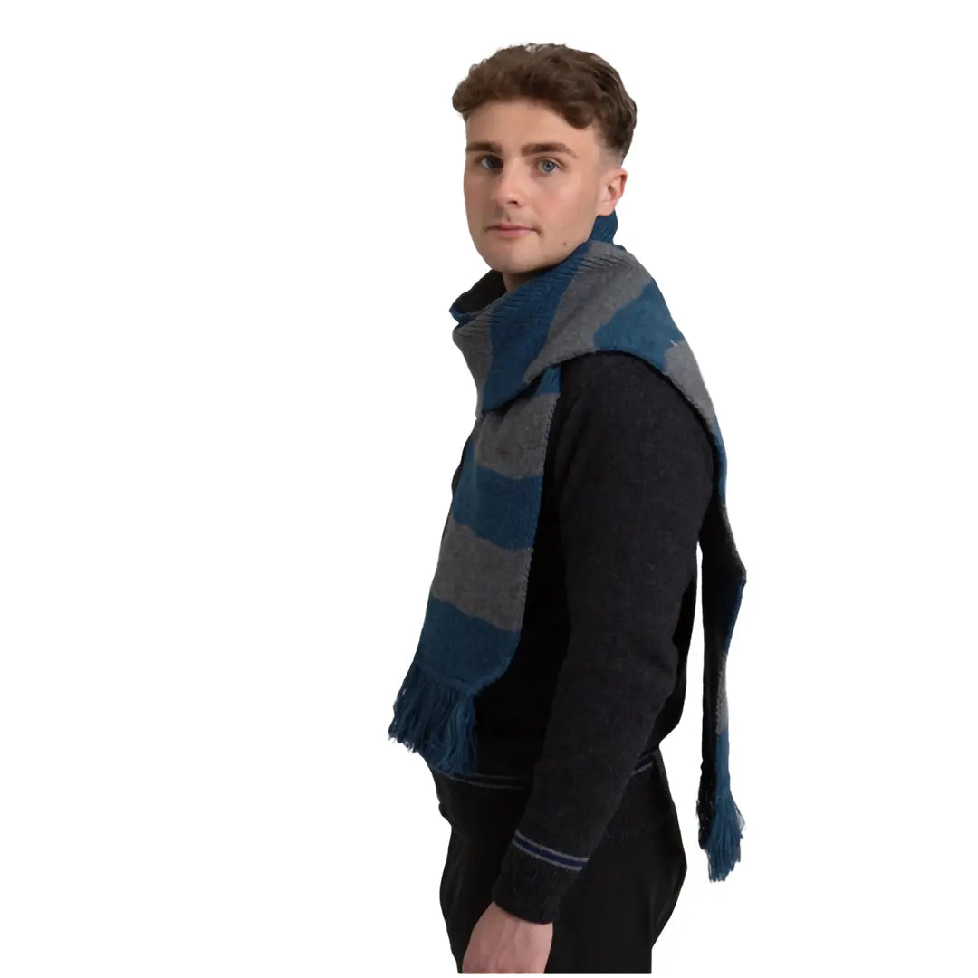 Ravenclaw Striped Scarf - Harry Potter