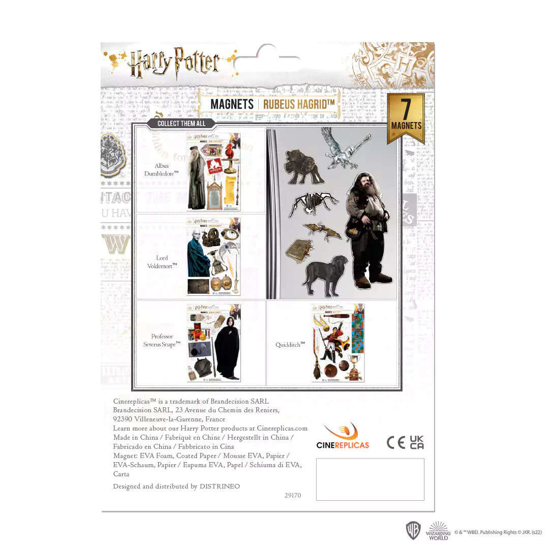 Foam magnet board - Hagrid - Harry Potter