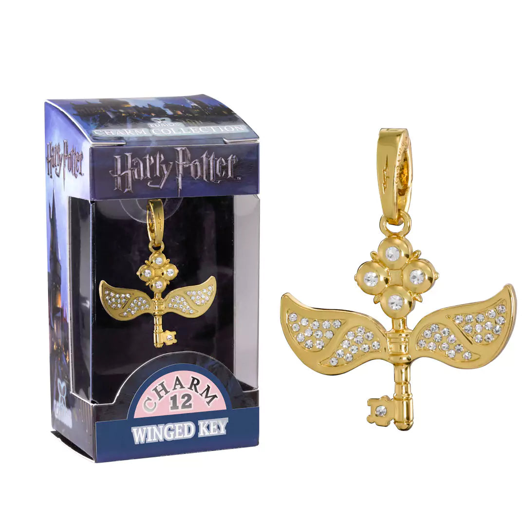Flying key - Charm Lumos - Harry Potter