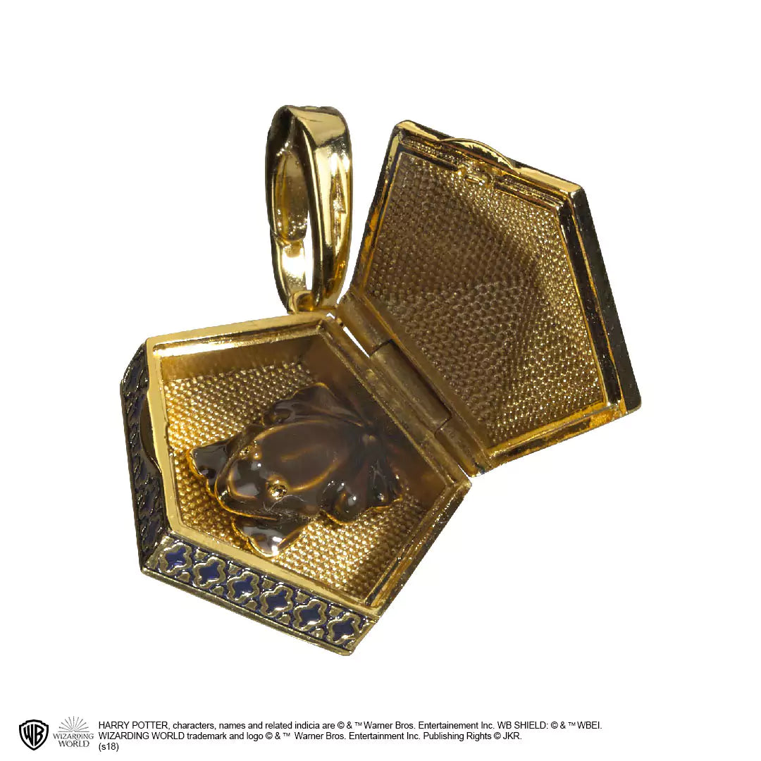 Chocolate Frog - Charm Lumos - Harry Potter