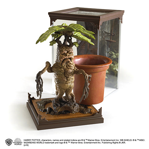 Magical creatures - Mandrake
