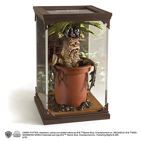 Magical creatures - Mandrake