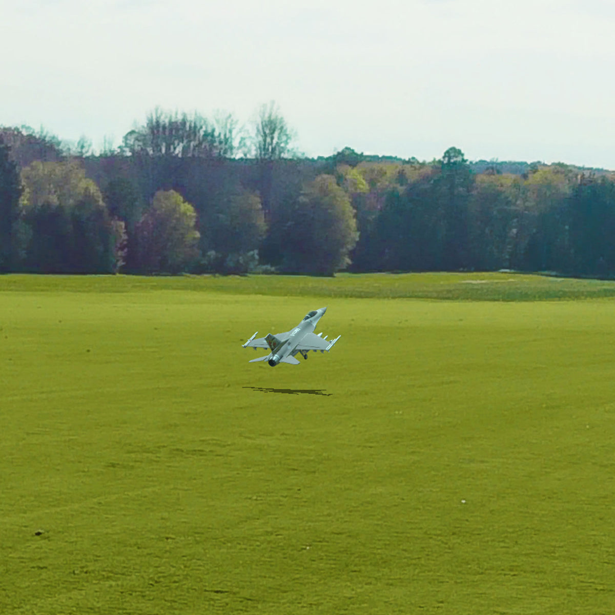 RealFlight Evolution RC Flight Sim w/ InterLink