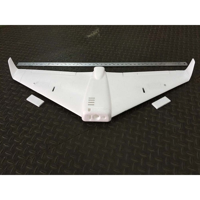 Explorer bee FPV wing Advanced Kit (w/ servos, esc, motor & p