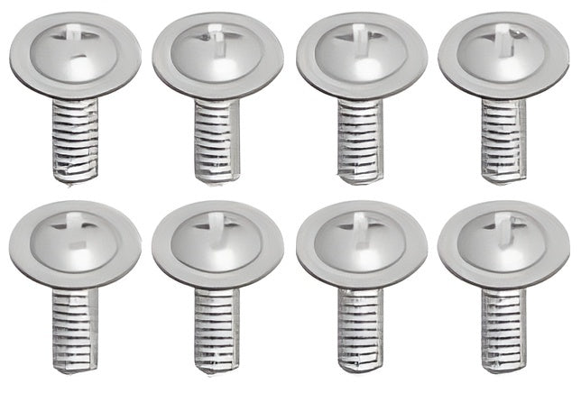 Phillips Screw 2.5x8mm (8)