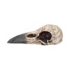 Edgar's Raven Skull Figurine Edgar Allen Poe Ornament