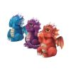 Nemesis Now Three Wise Dragonlings Figurines Dragon Ornaments