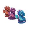 Nemesis Now Three Wise Dragonlings Figurines Dragon Ornaments