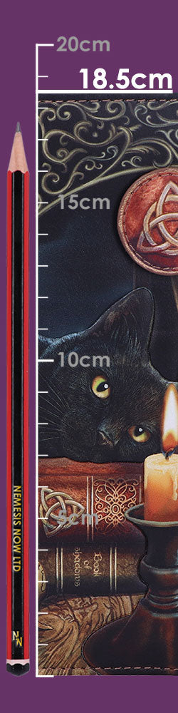 Nemesis Now Lisa Parker Witching Hour Cat Witch Purse Black 18.5cm