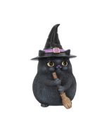 Duo Divination Witches Cat Figurine