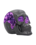 Rose Flame Decorative Skull With Sleeping Dragon