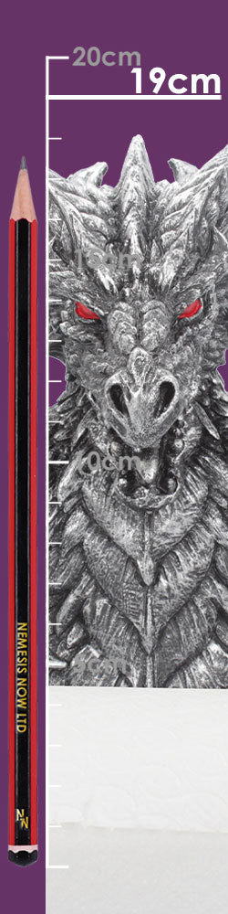 Obsidian Menacing Gothic Dragon Toilet Roll Holder