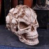 Macbeth Skull