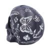Black and White Traditional, Tribal Tattoo Fund Skull