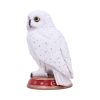 Wizard's Familiar Owl Figurine 10cm