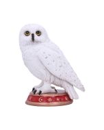 Harry Potter Hedwig Owl Wall Plaque 45cm