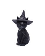 Owlocen 30cm (Large)