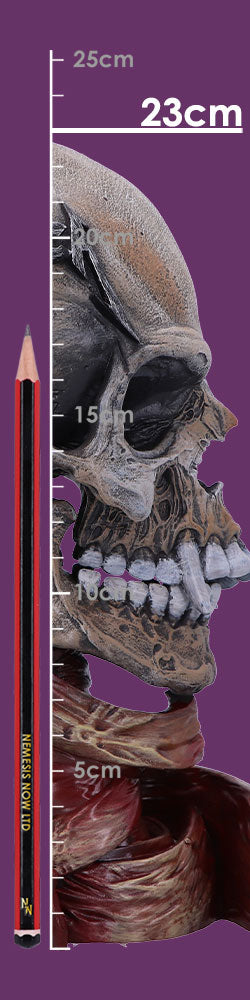 Metallica Pushead Skull 23.5cm