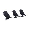 Three Wise Ravens Figurines 8.7cm