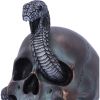 Serpentine Fate Gothic Snake Skull 19cm