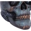 Serpentine Fate Gothic Snake Skull 19cm