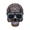 Destiny Palmistry Skull 18cm