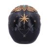 Destiny Palmistry Skull 18cm