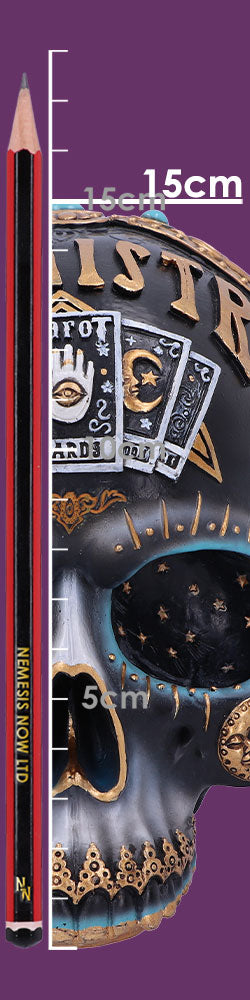 Destiny Palmistry Skull 18cm