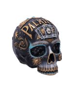 Serpentine Fate Gothic Snake Skull 19cm
