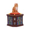 Mad About Cats Box by Lisa Parker