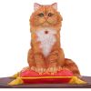 Mad About Cats Box by Lisa Parker