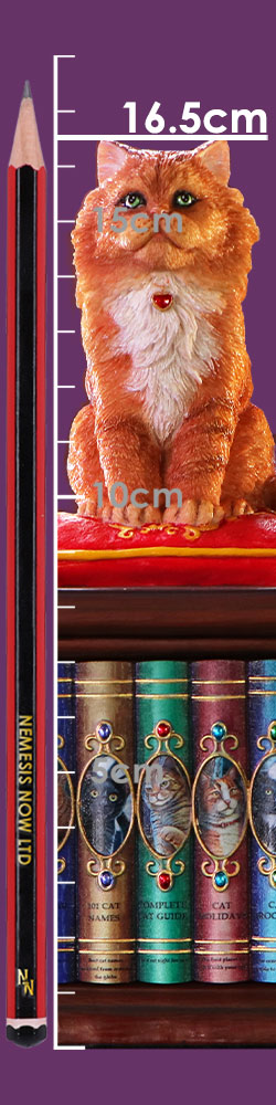 Mad About Cats Box by Lisa Parker