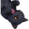 Black Cat Guzzler 24cm