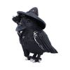 Pawzuph 26.5cm (Large)