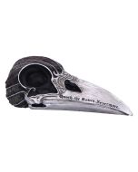 Perched Prophecy Mini Raven Figurine