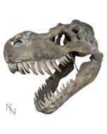 Dilophosaurus Skull Resin Replica