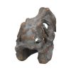 Freestanding Tyrannosaurus Rex Skull Figurine Ornament