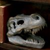 Freestanding Tyrannosaurus Rex Skull Figurine Ornament