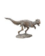 Spinosaurus Skull Resin Replica