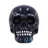 Electro (Small) (Pack of 6 )