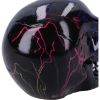 Electro (Small) (Pack of 6 )